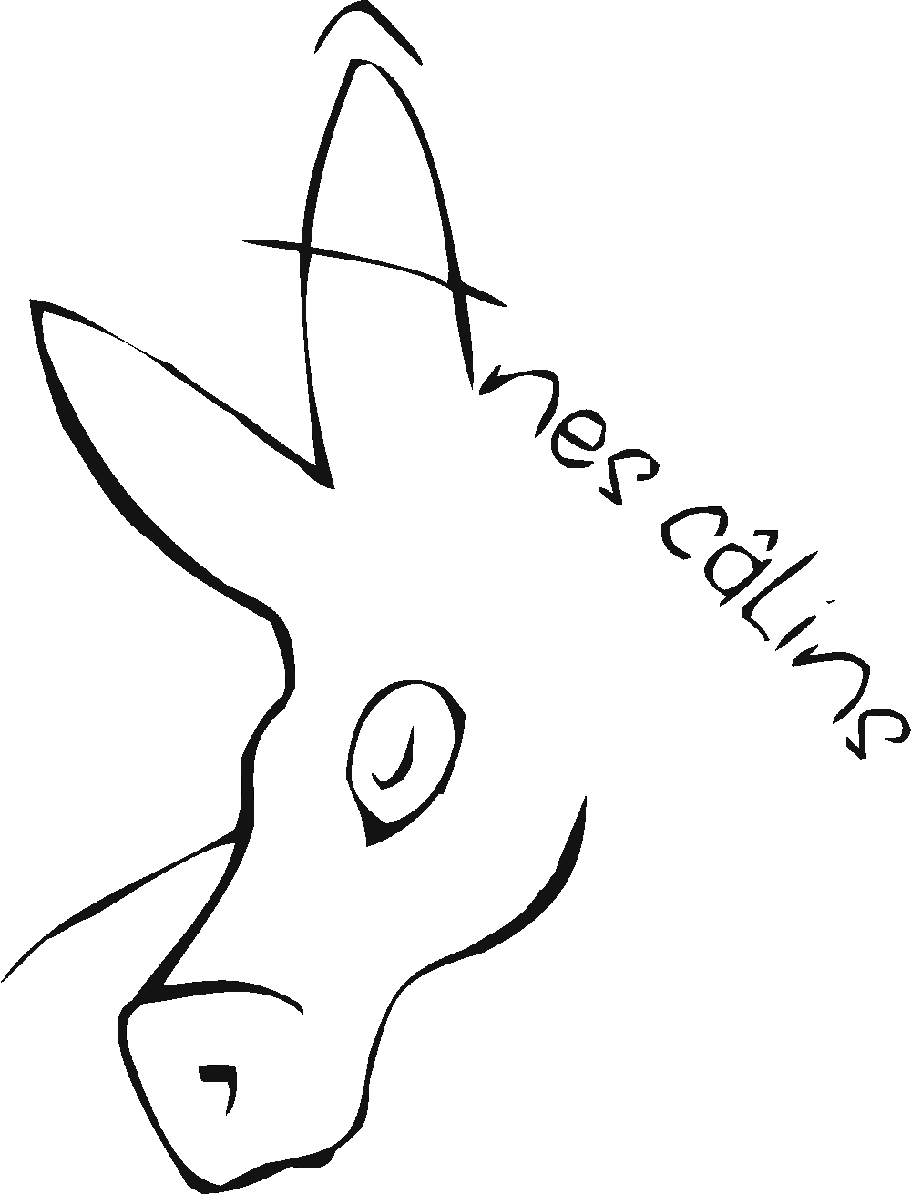 Logo, ânes